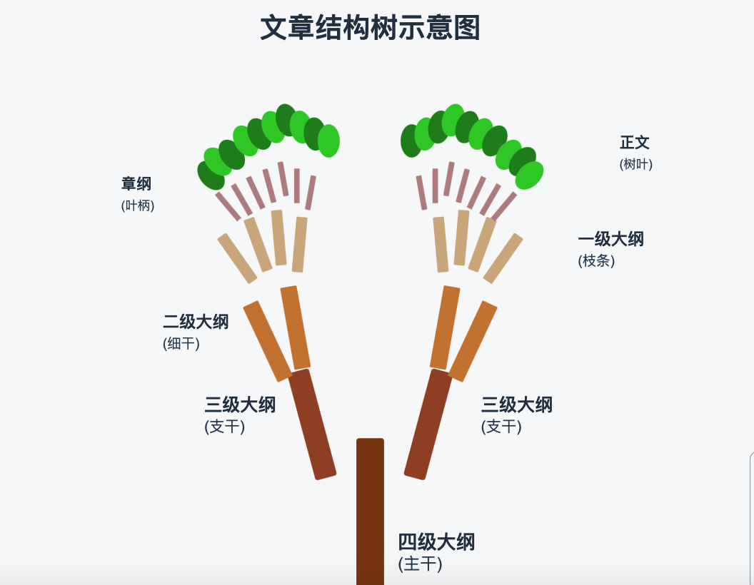 大树支干.png